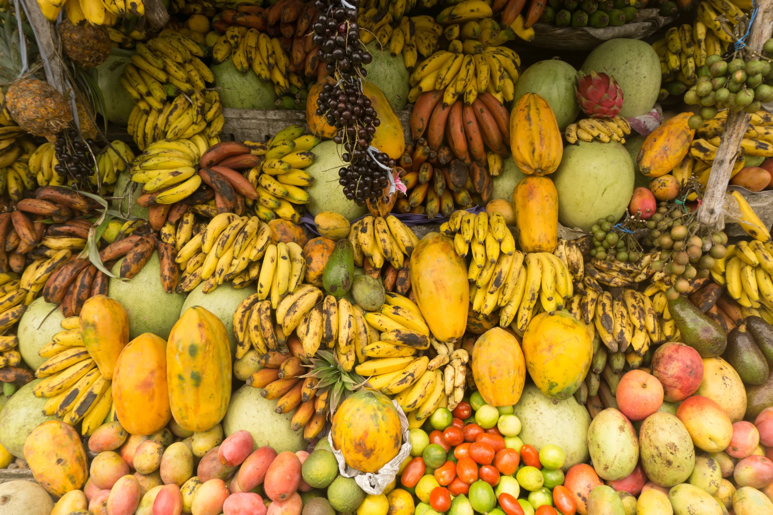 You can find many types of fruits in Colombia