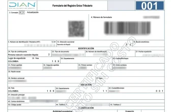 Foreigner tax id RUT for business
